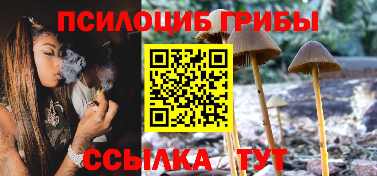 Галлюциногенные грибы прущие грибы  Вход с VPN  Галлюциногенные грибы MAGIC MUSHROOMS  Сибай 